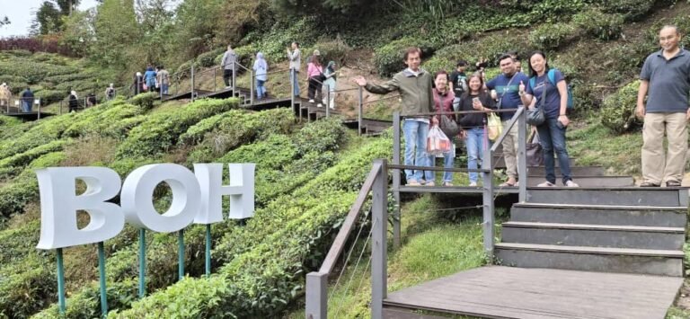 WhatsApp Image 2026-01-15 at 10.52.19 PM (1)